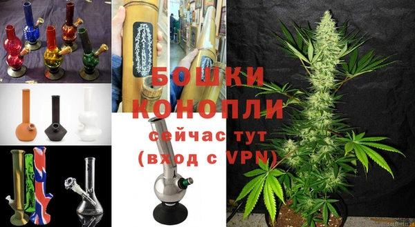 ПСИЛОЦИБИНОВЫЕ ГРИБЫ Белокуриха