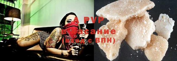 ПСИЛОЦИБИНОВЫЕ ГРИБЫ Белокуриха