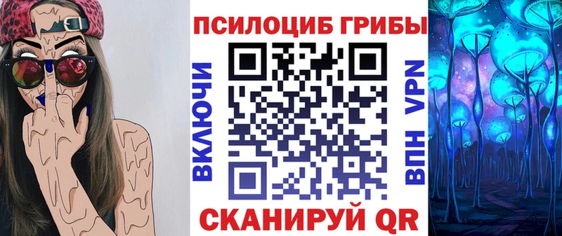 Купить  Сосновоборск  Псилоцибиновые грибы Cubensis 