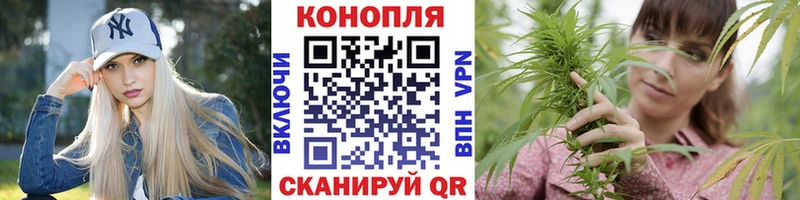 Канабис SATIVA & INDICA  Купить где  Сосновоборск 